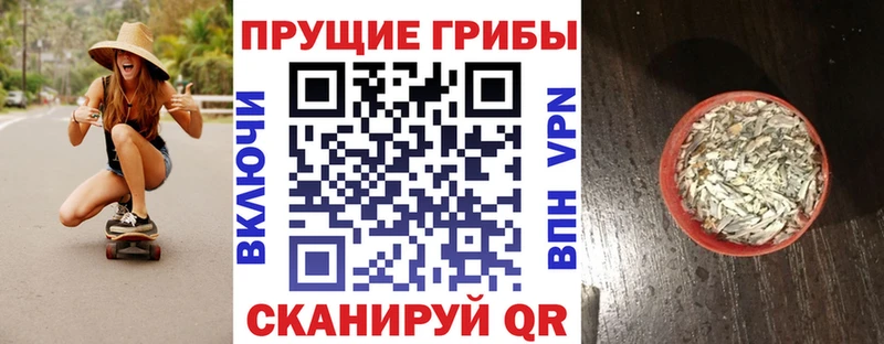 Псилоцибиновые грибы Magic Shrooms  сайты даркнета наркотические препараты  Крым 